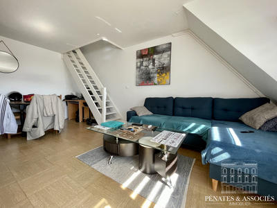 Duplex - 50 m² - 2 pièces