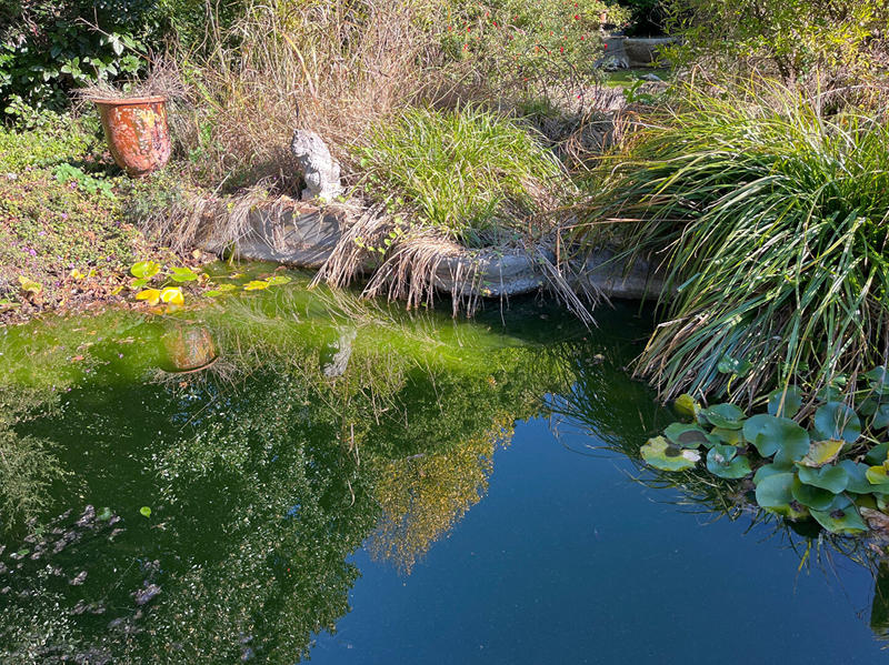 Villa - 514 m² - 14 pièces