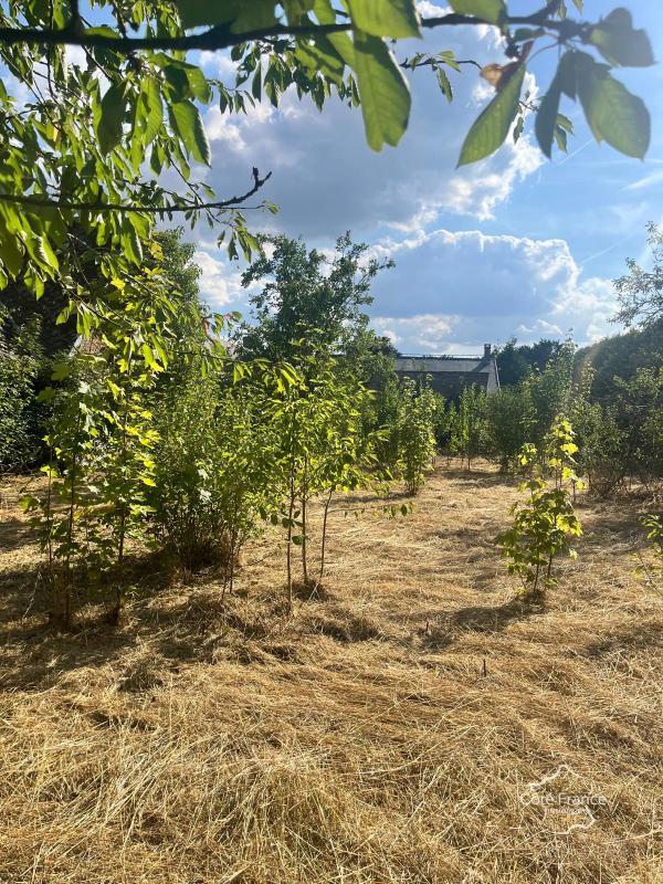 Maison de village - 80 m² - 3 pièces