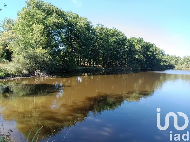 Terrain - 37 398 m²