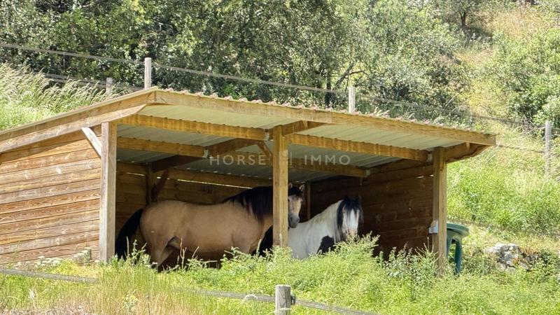 Propriété - 200 m² - 6 pièces