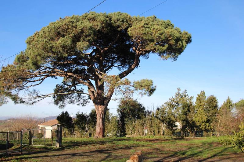 Corps de ferme - 174 m² - 6 pièces