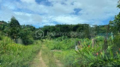 Terrain de loisirs - 1 004 m²