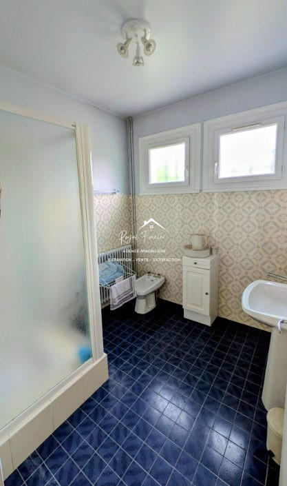 Maison - 317 m² - 10 pièces