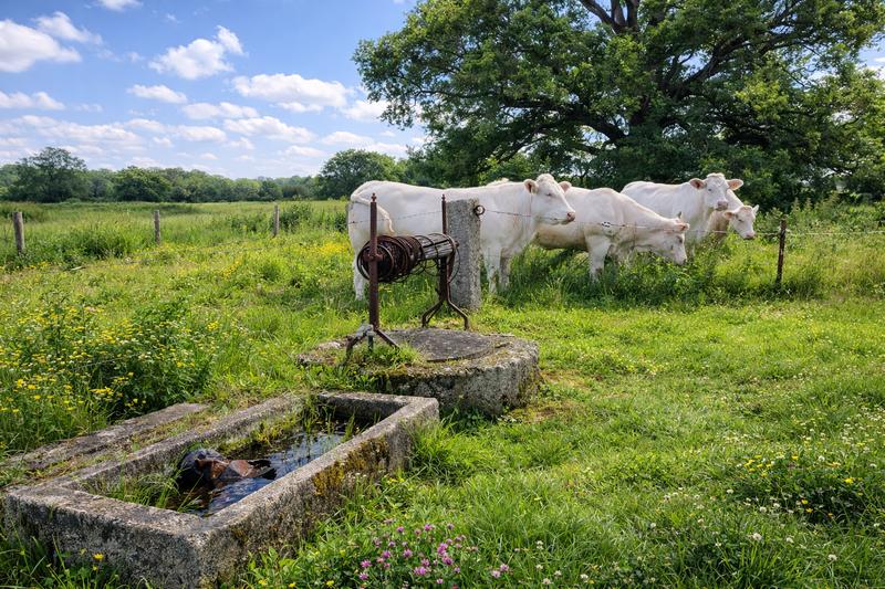 Maison - 76 m² - 3 pièces