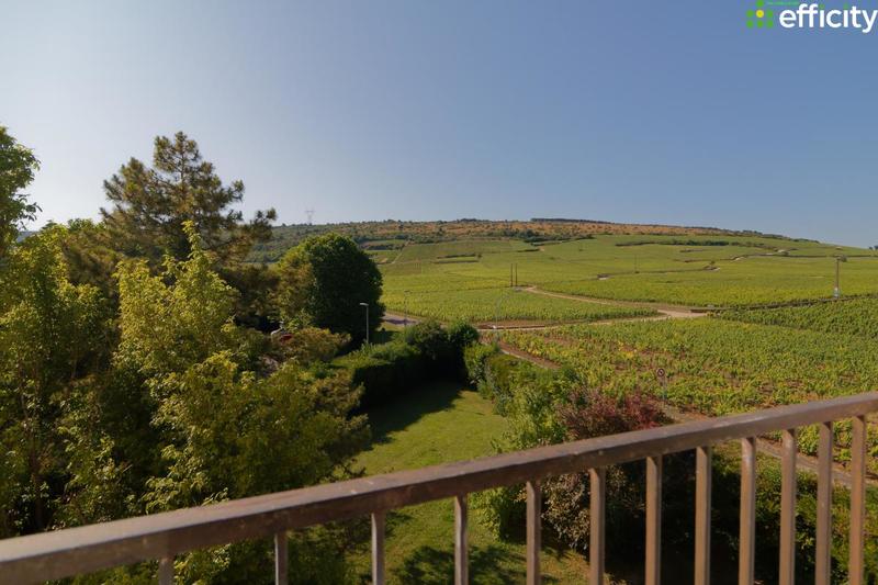 Appartement - 30 m² - 1 pièce