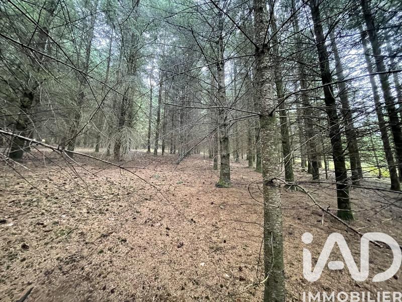 Terrain - 121 370 m²