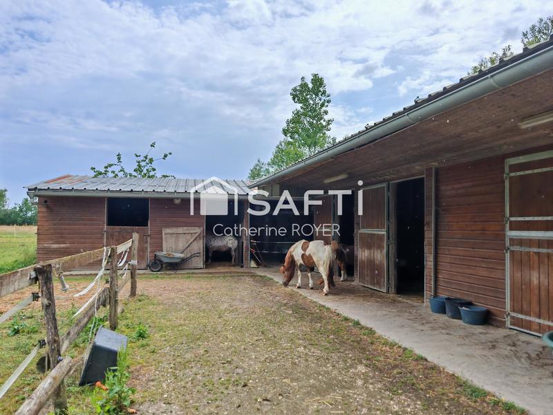 Maison - 186 m² - 6 pièces