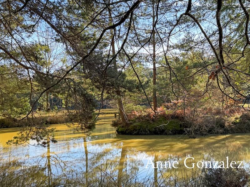 Maison - 180 m² - 6 pièces