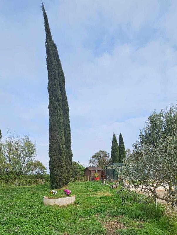 Maison - 303 m² - 9 pièces