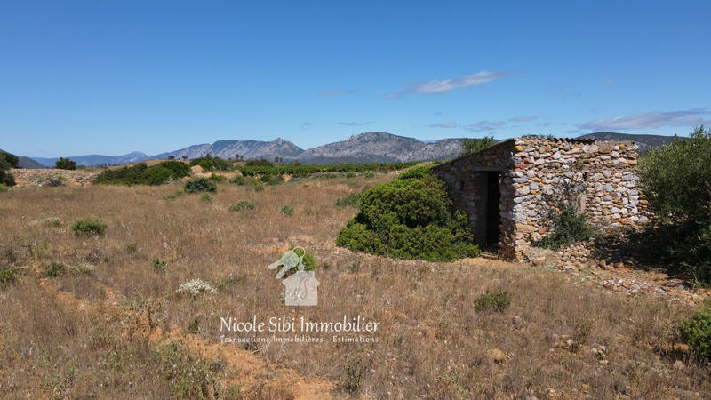 Terrain agricole - 10 255 m²