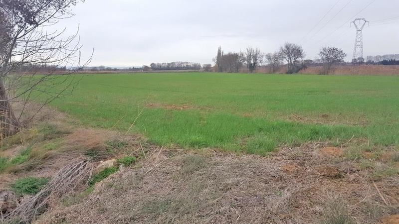 Terrain agricole - 19 460 m²