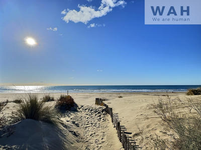 Appartement - 23 m² - 1 pièce