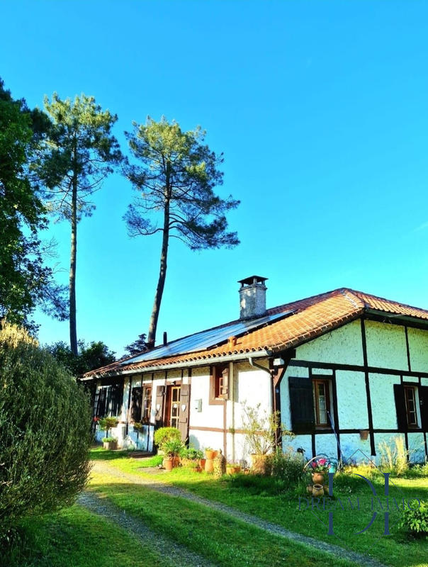 Maison ancienne - 160 m² - 9 pièces