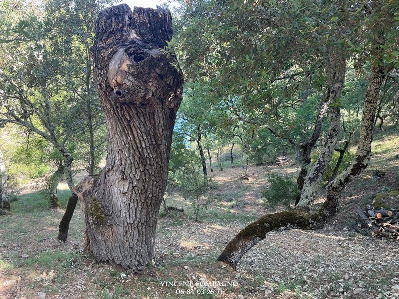 Maison - 113 m² - 5 pièces