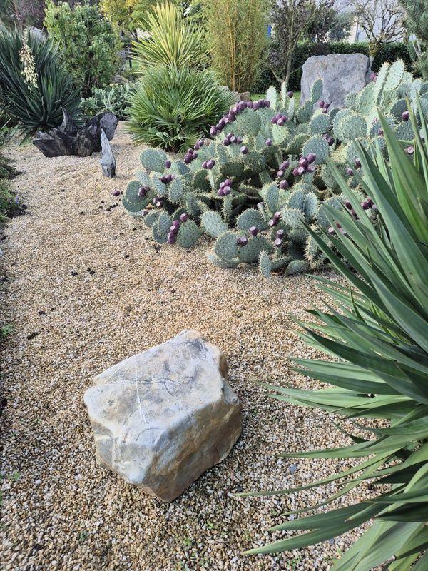 Maison - 85 m² - 3 pièces