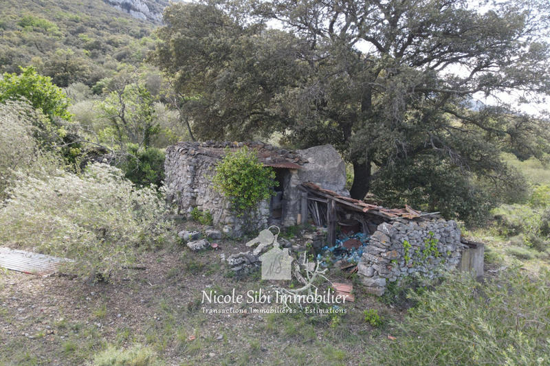 Terrain agricole - 45 557 m²