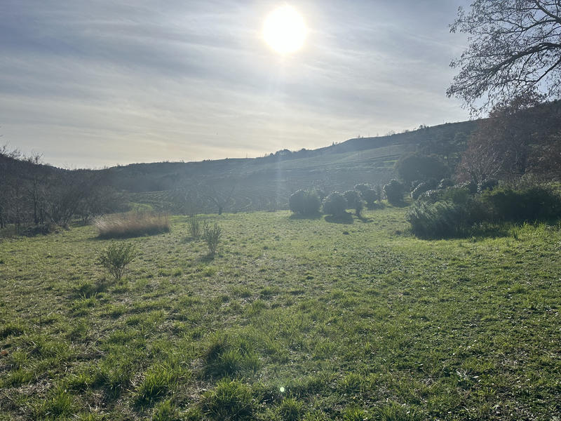 Mas - 700 m² - 20 pièces