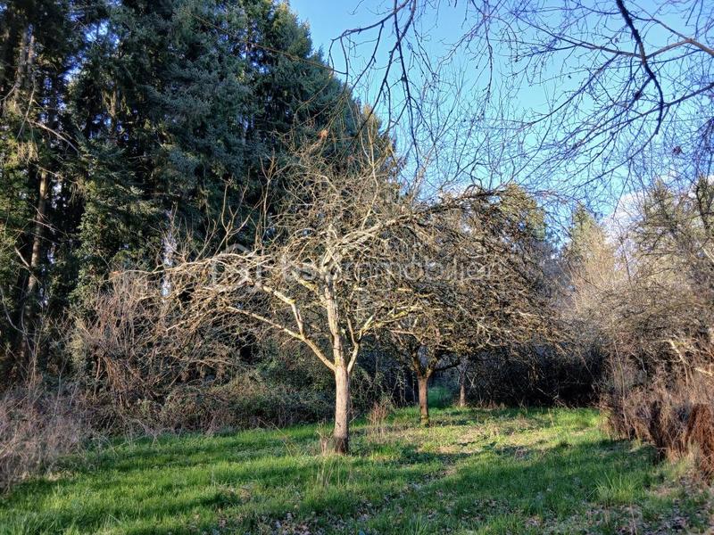 Terrain de loisirs - 10 489 m²