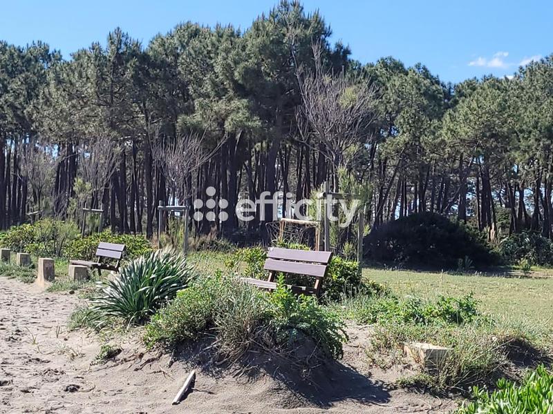 Appartement - 106 m² - 4 pièces