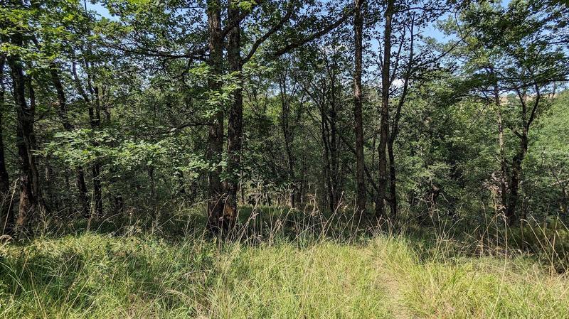 Terrain inconstructible - 38 528 m²