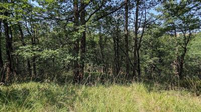 Terrain inconstructible - 38 528 m²