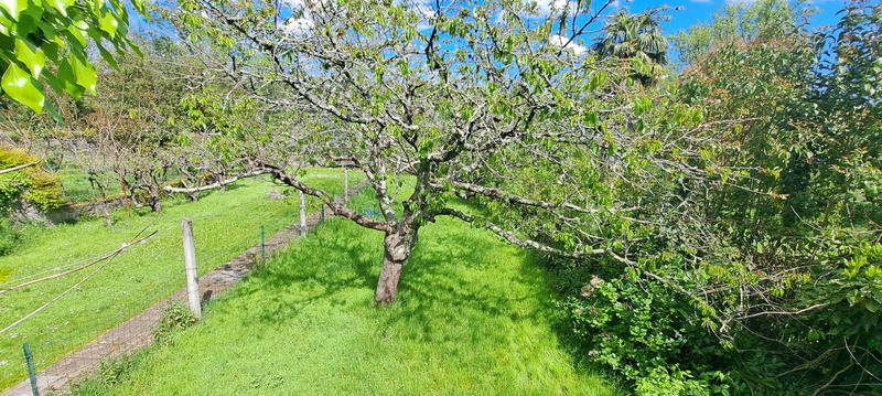 Appartement - 122 m² - 4 pièces