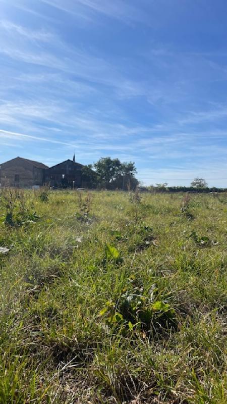 Terrain constructible - 1 670 m²