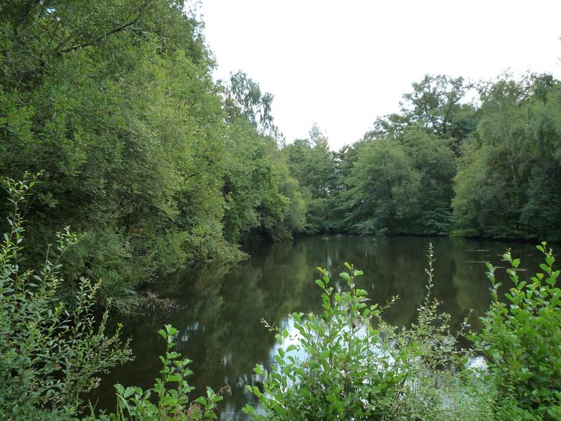 Terrain constructible - 41 380 m²