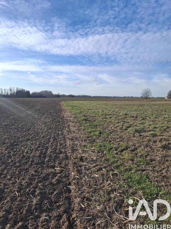 Terrain - 10 024 m²