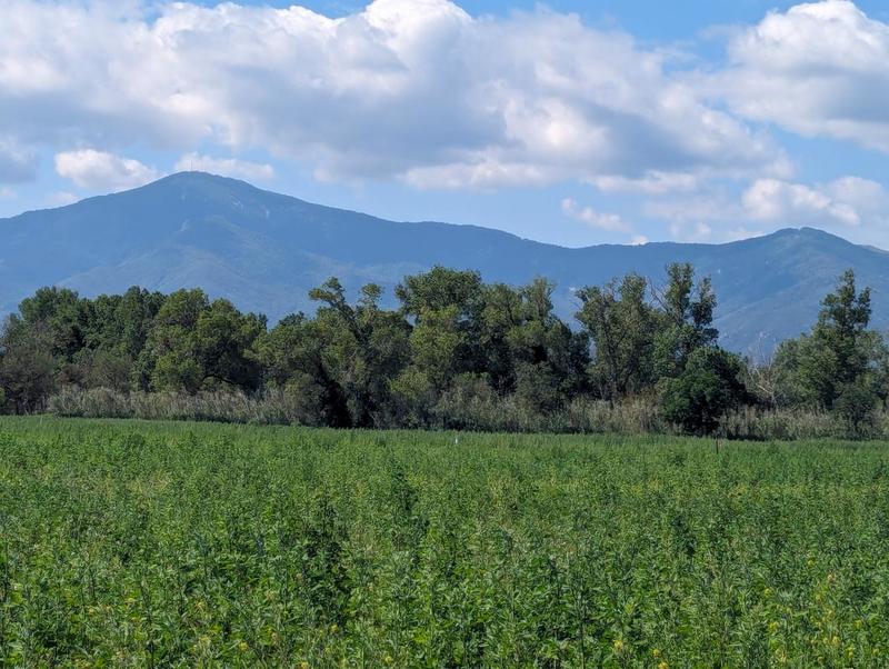 Terrain agricole - 69 131 m²