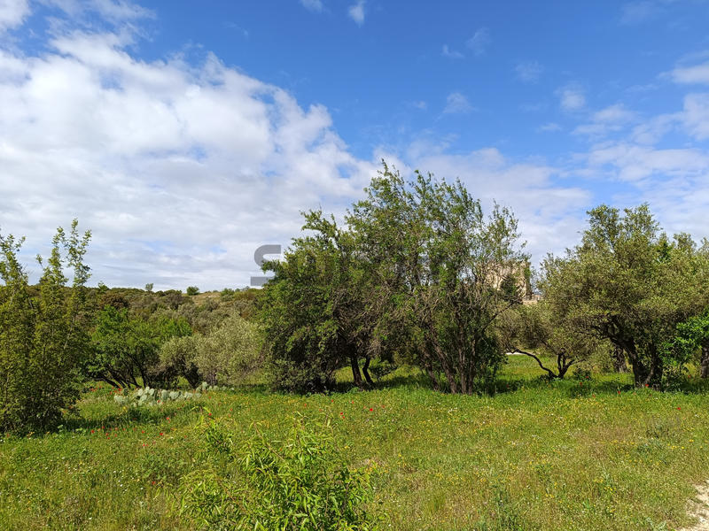 Terrain de loisirs - 3 970 m²