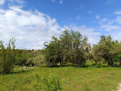 Terrain de loisirs - 3 970 m²