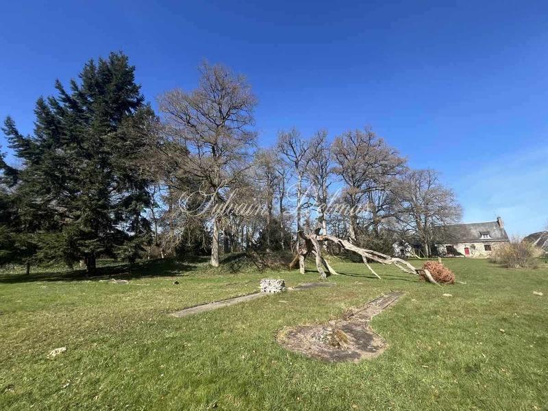 Maison - 600 m² - 5 pièces