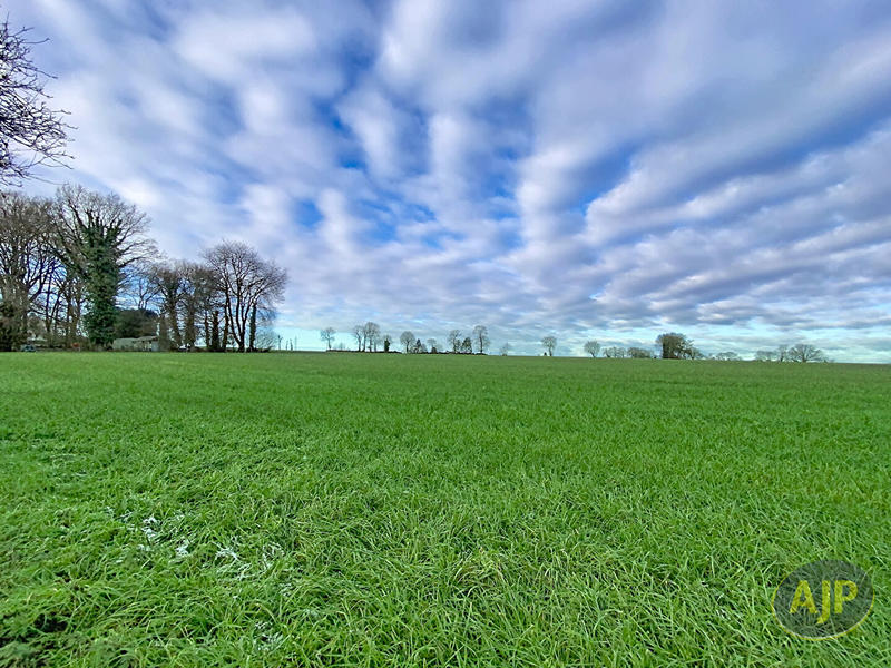 Maison - 215 m² - 8 pièces