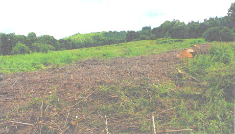 Villa - 61 m² - 1 pièce