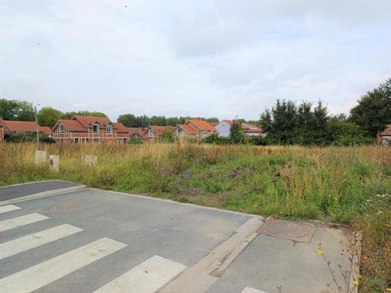 Terrain constructible