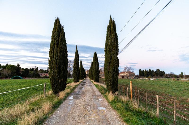 Haras - 260 m² - 6 pièces