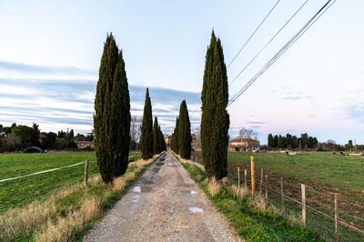 Haras - 260 m² - 6 pièces