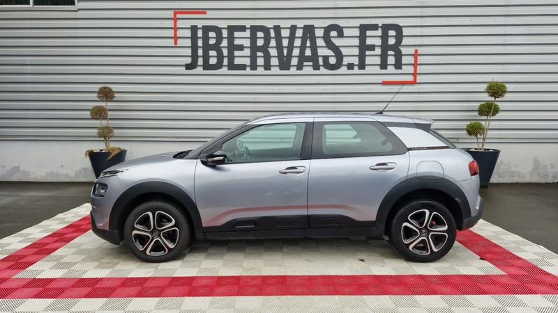 Citroën C4 Cactus Business bluehdi 100 ss bvm6 feel