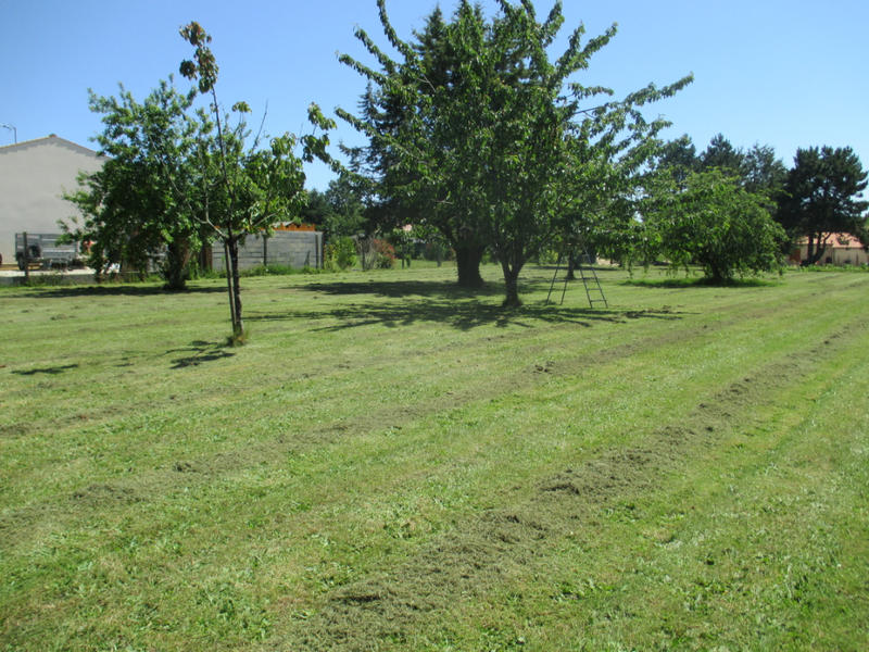 Terrain - 1 000 m²