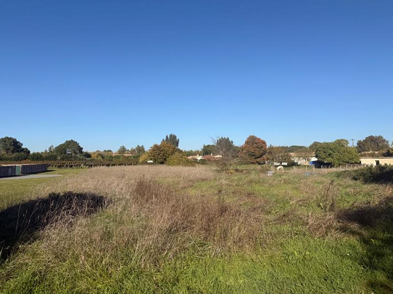 Terrain constructible - 7 400 m²