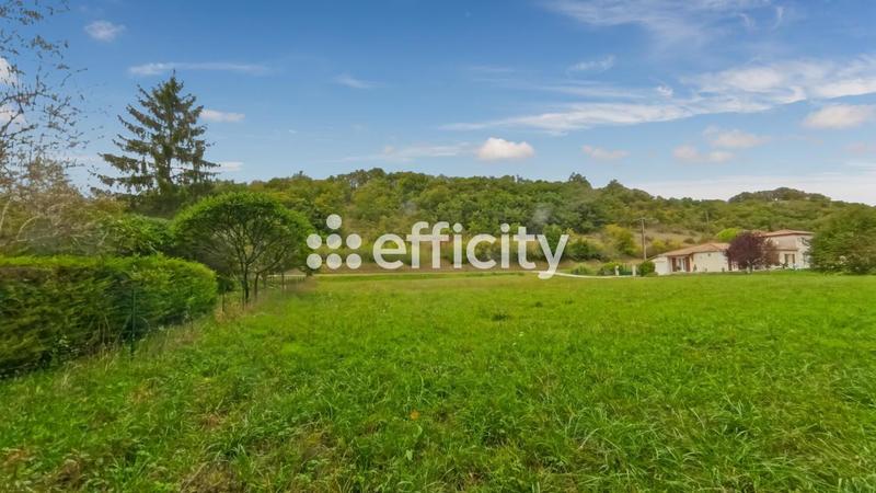 Terrain - 2 923 m²
