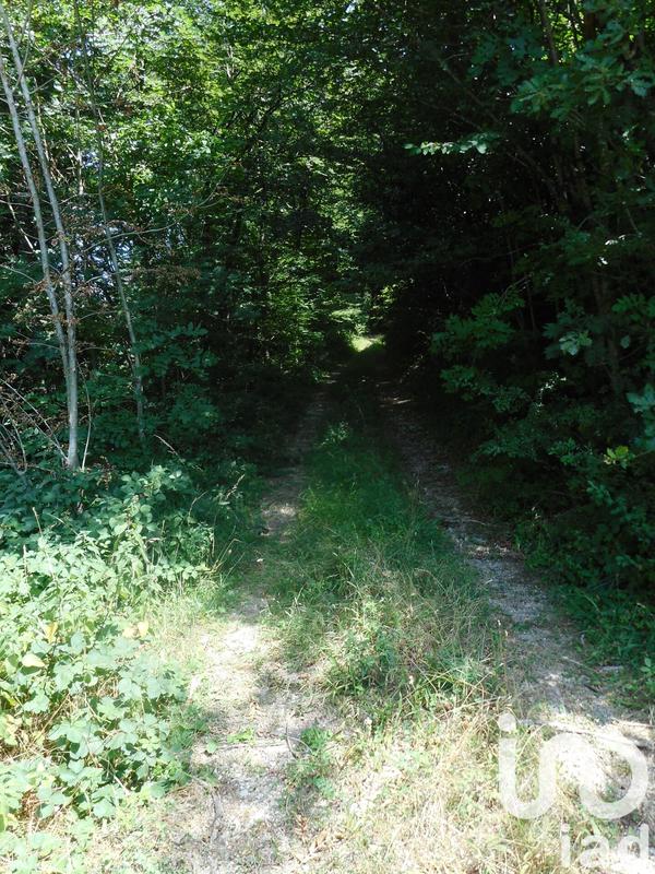 Terrain - 20 445 m²