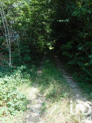 Terrain - 20 445 m²