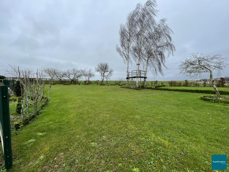 Terrain - 1 341 m²