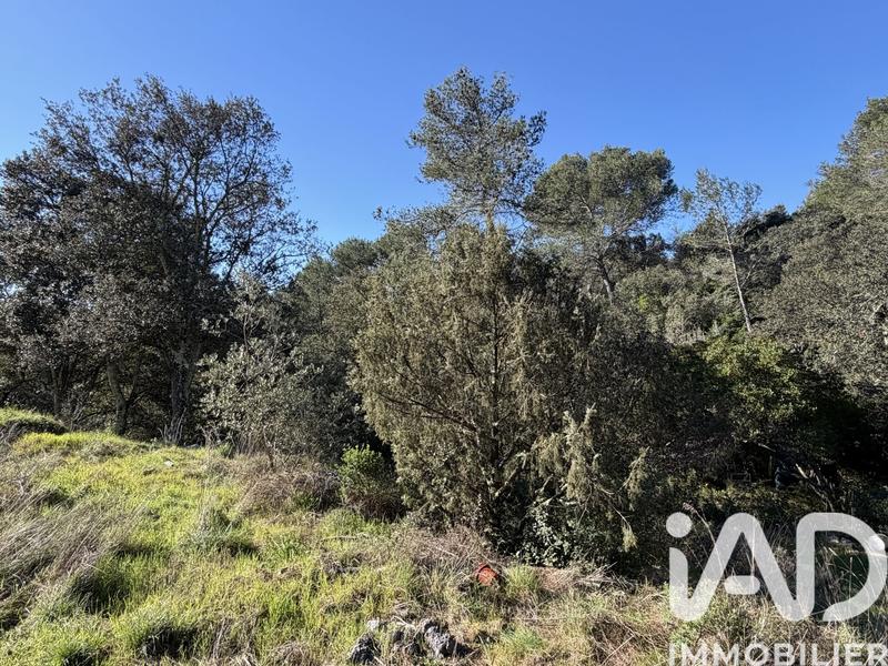 Maison - 128 m² - 5 pièces