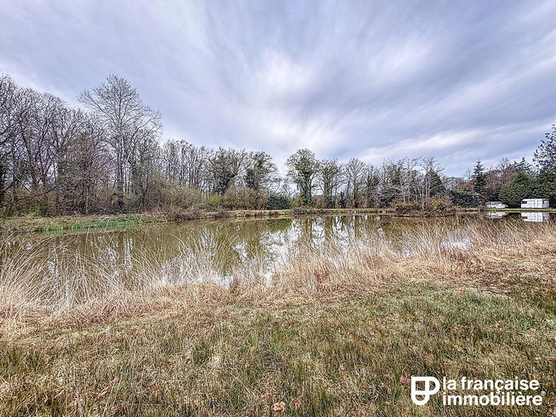 Terrain - 12 193 m²