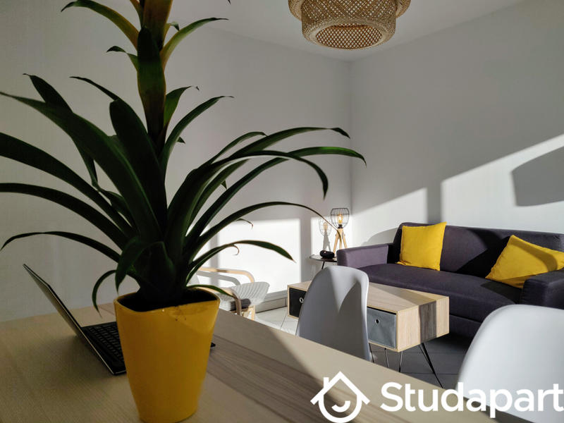 Chambre - 11 m² - 1 pièce