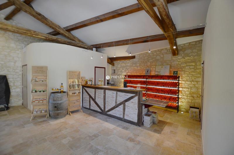 Propriété viticole - 390 m² - 9 pièces